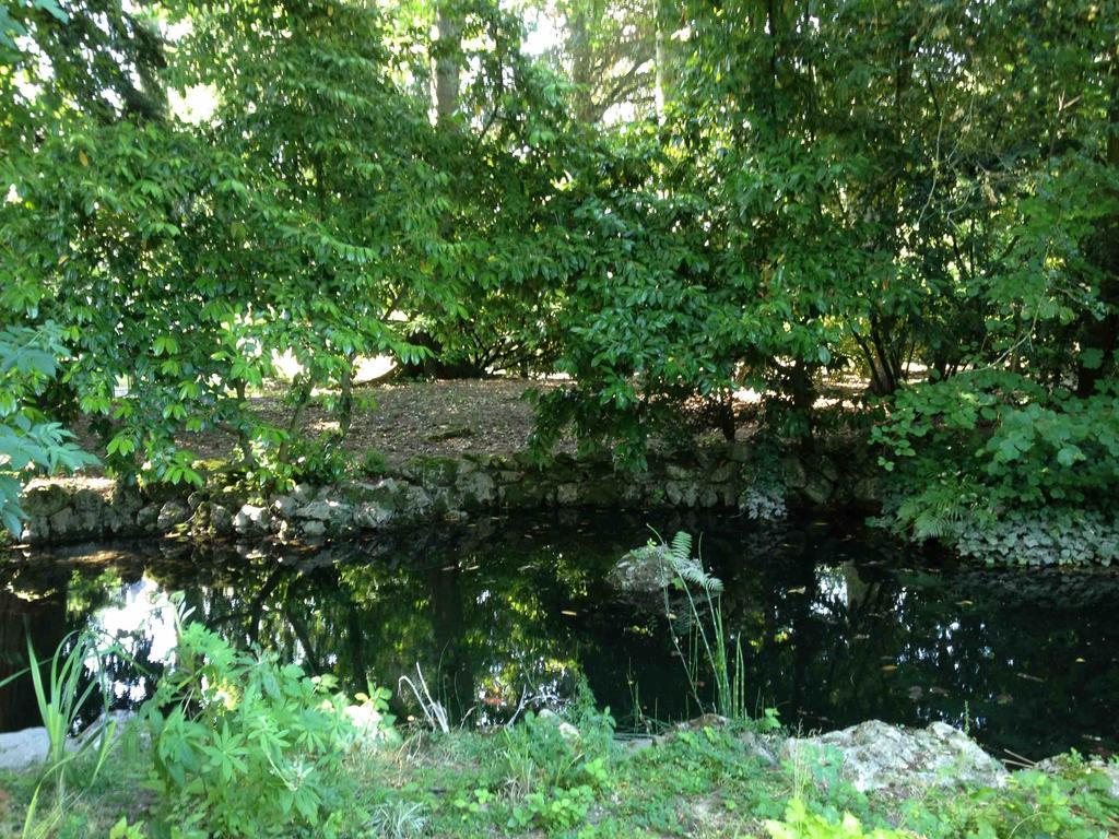 Chambre D'Hotes Les Rives De La Tronne Mer Exteriör bild